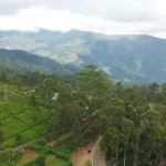 Chiang Rai Tea Terraces Preview