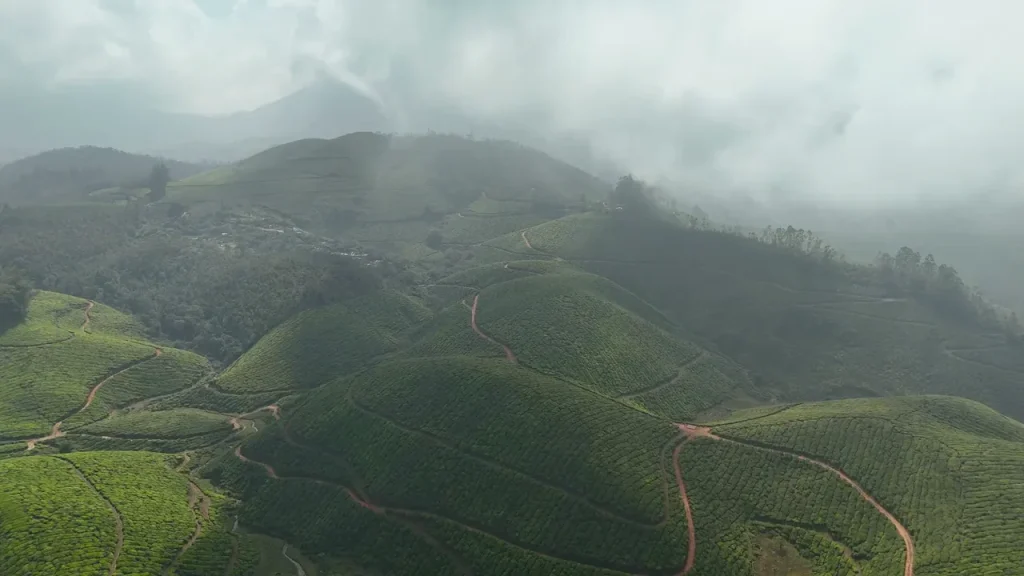 Yunnan Tea Hills Preview