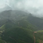 Yunnan Tea Hills Preview