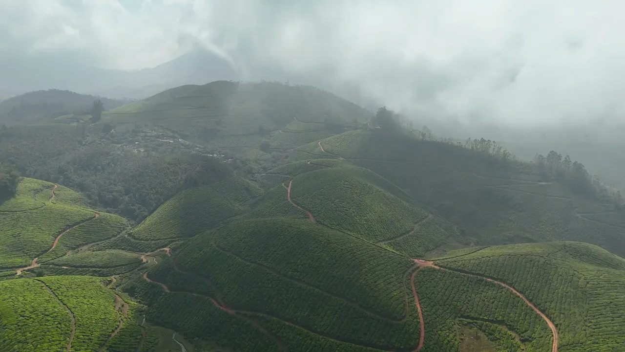 Yunnan Tea Hills Preview